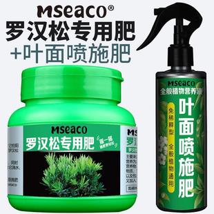 罗汉松专用肥肥料盆栽地栽圆叶长叶雀舌有机肥大树绿叶营养液复合