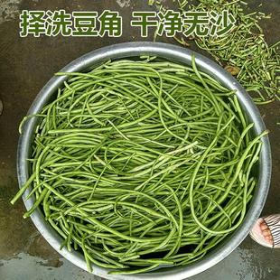 湖南益阳特产紫苏卜豆角农家自制坛子菜酸豆角子下饭菜腌菜500克