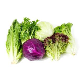 蔬菜沙拉组合套餐新鲜球生菜红叶苦菊绿叶罗马生菜紫包菜轻食食材