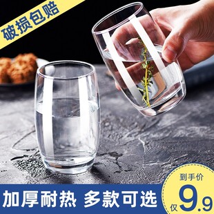 玻璃杯家用耐高温待客水杯客厅杯子套装啤酒杯透明高级感喝水茶杯