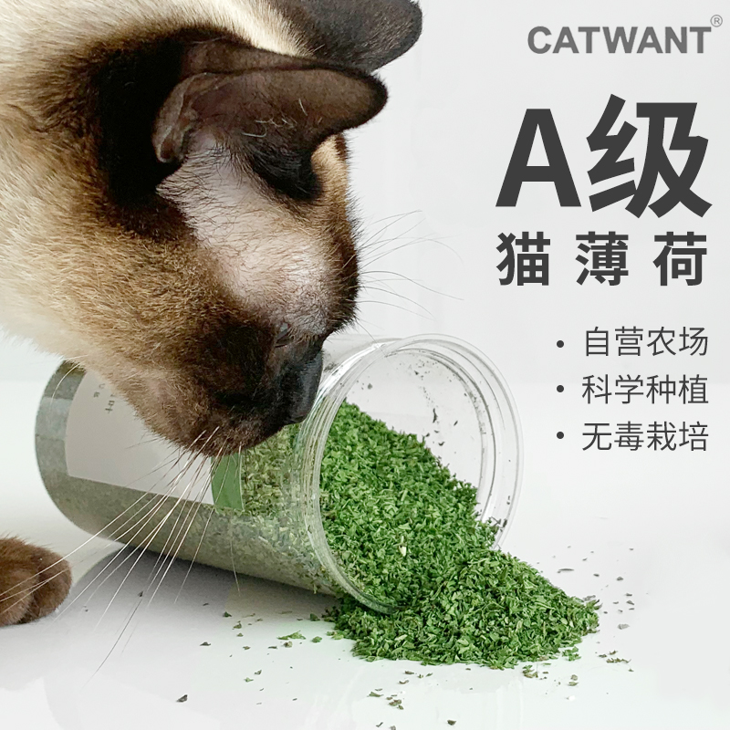 猫薄荷细叶罐装宠物猫洁磨牙舒压自嗨玩具新品用品猫咪旺农场