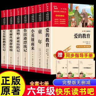 全套7册 小学六年级适读的课外书JST童年书高尔基经典书目上下册正版原著小英雄雨来爱的教育爱丽丝漫游奇境快乐读书吧书籍6