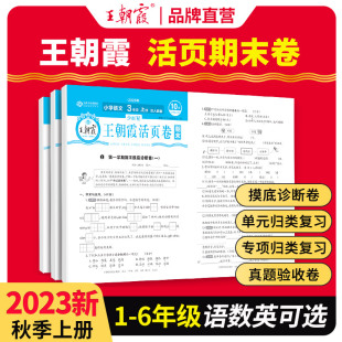 2023新版上册王朝霞试卷期末活页卷三四五六年级一二年级期末试卷精选下册人教北师苏教版语文数学英语冲刺100分海淀实验班