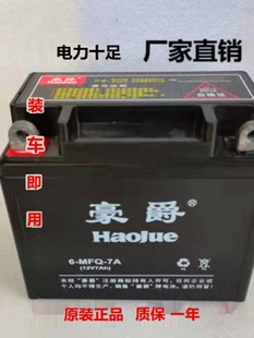 适用于豪爵125摩托车电瓶12v 通用干电池钻豹摩托车125-7银豹电瓶