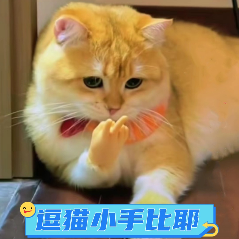 猫咪手套迷你搞笑人手小手逗猫玩具剪刀比耶小猫手套爪子弹力指套