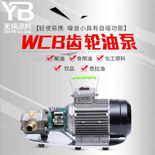 wcb齿轮泵不锈钢齿轮泵大流量耐高温齿轮泵高粘度小型齿轮泵总成