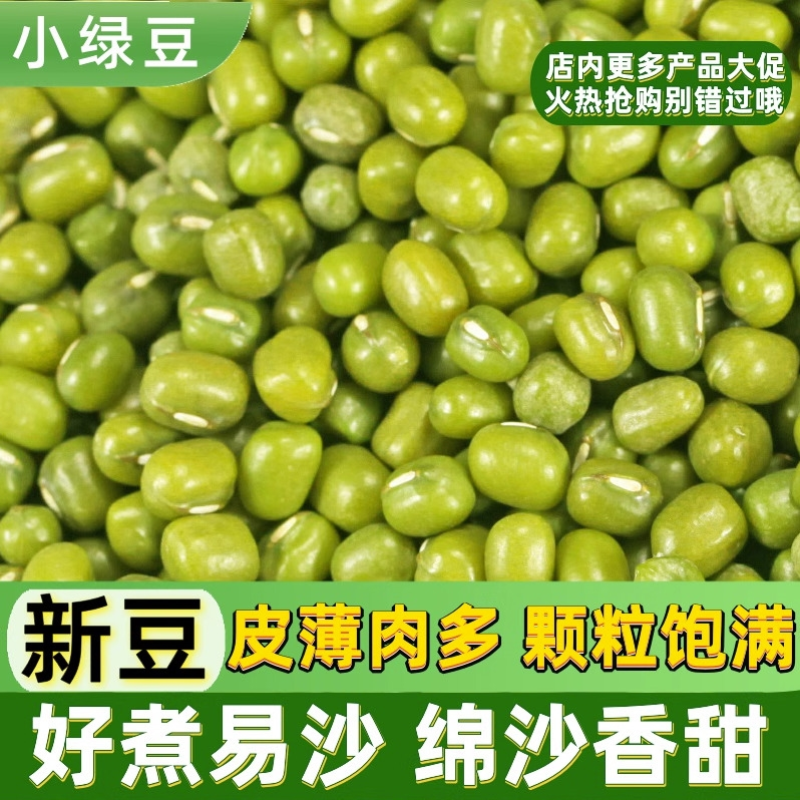 新鲜应季老品种绿豆农家自产绿豆可煲