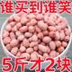 【5斤大降价】现剥新花生米新货粉皮新鲜大粒榨油白沙花生米10g装