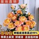 灌木月季花大苗带花苞发货阳台果汁月季花苗四季盆栽花苗阳台花卉