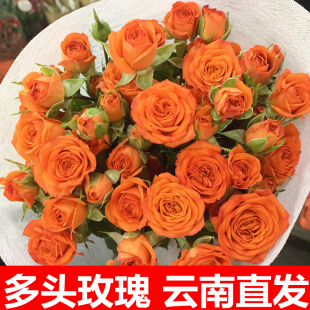 橙色芭比多头玫瑰鲜花花束云南昆明基地直发同城速递香水百合插花