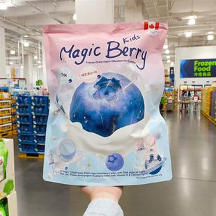 山姆超市代购SunDrench冻干酸奶蓝莓组合装120g独立小包装水果干
