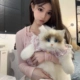 dou同款仿真布偶猫娃娃背包玩偶小猫咪宠物毛绒公仔女生日礼物