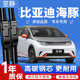 适用比亚迪海豚雨刮器原厂25款24用品智驾版胶条无骨静音后雨刷片