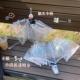 天堂伞透明猫爪雨伞治愈晴雨两用可爱卡通印花雨伞学生儿童上学女