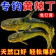 羊油颗粒黄辣丁专用钓饵野钓罗非鲫鱼饵料专钓昂刺专攻打窝通杀
