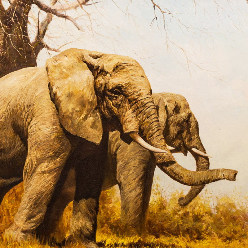 光恩《大象》朝鲜画家