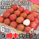 顺丰特大果6斤黑叶荔枝新鲜包邮海南当季水果现摘现发大孕妇整箱