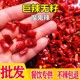 辣椒段无籽辣椒圈商用特辣印度魔鬼椒变态辣朝天椒小米椒干货巨辣