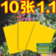 新双面粘虫板大棚果树瓜菜园黄板沾小黑飞防虫贴纸蓟马蓝板诱虫板