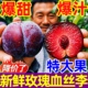 新鲜河南玫瑰血丝李红心李子应季时令水果黑布林红肉恐龙蛋味帝李