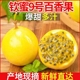 百香果黄金钦蜜9号新鲜5斤包邮大果纯甜当季整箱现摘广西水果浆汁
