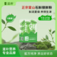 滋朴正宗霍山铁皮石斛冻干粉健康清润滋补送礼送长辈1g*7罐/盒