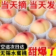 【无锡发货】头茬超大果日川白凤湖景撕皮爆汁无锡水蜜桃产地直采