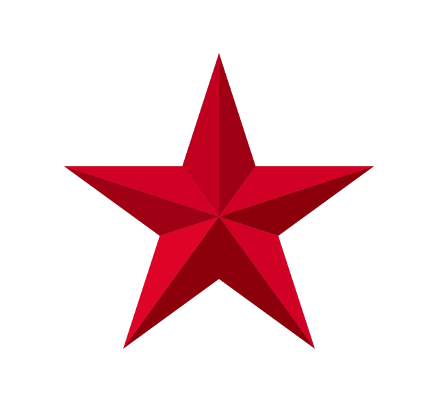 徽章挂徽大号圆标圆徽标标志五角星具体价格详询旗帜