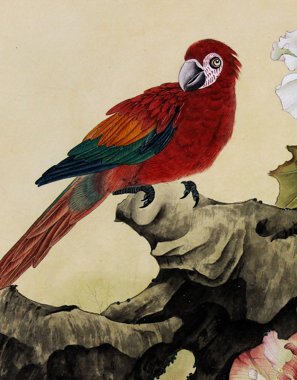 魏钦《鹦鹉》著名花鸟画家