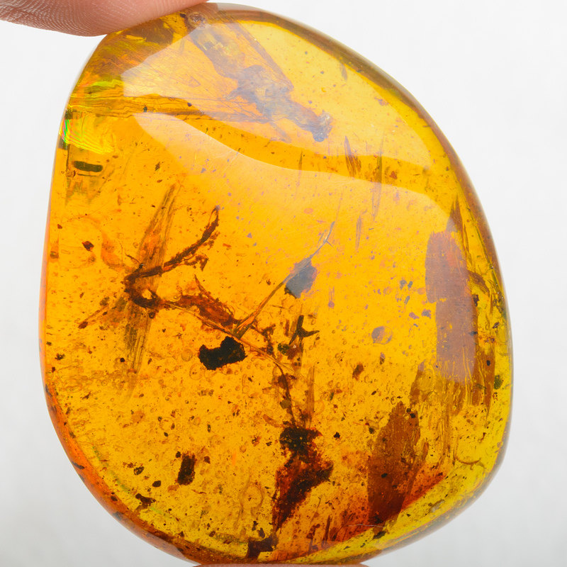 28.3g不含链 收藏级 罕见大虫珀原始螳螂裸料随形挂件 syw6-7