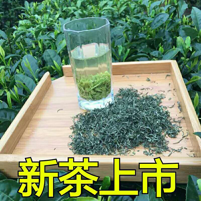 2024新茶江西遂川狗牯脑绿茶日照足毛尖云雾茶好特产250g包邮