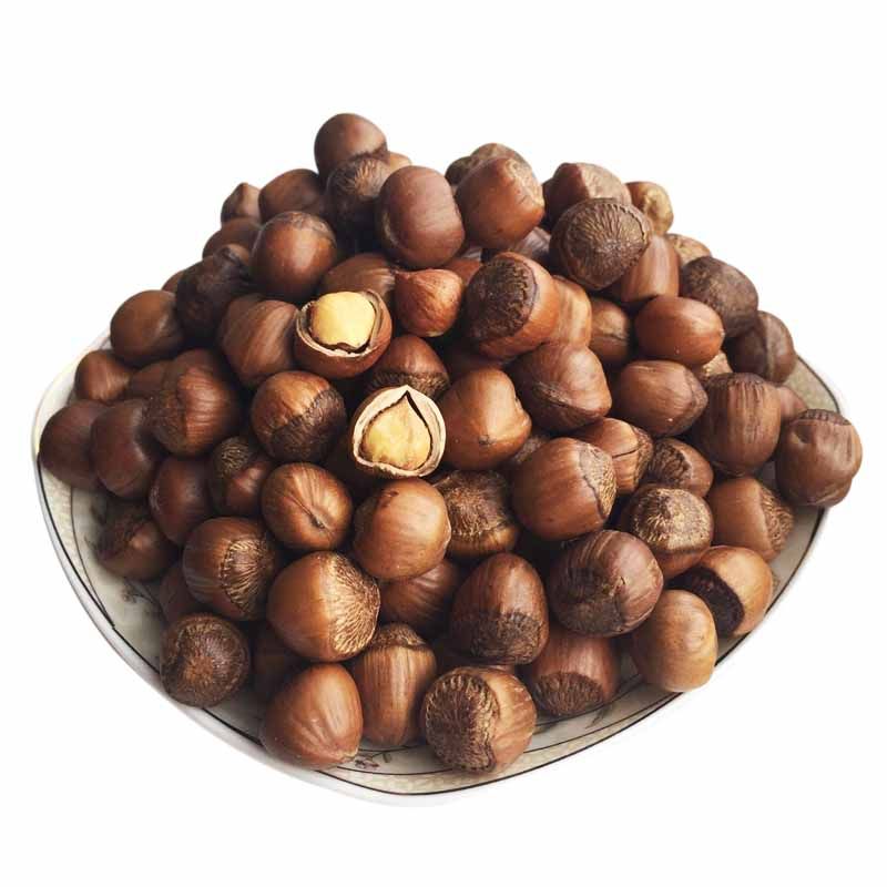 榛子东北特产野生坚果干果炒货_东北野生榛子东北开口大榛果坚果250g