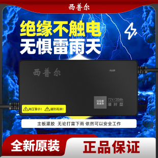 西普尔电动车电瓶充电器48V60V72V20A爱玛立马雅迪台铃三轮车通用