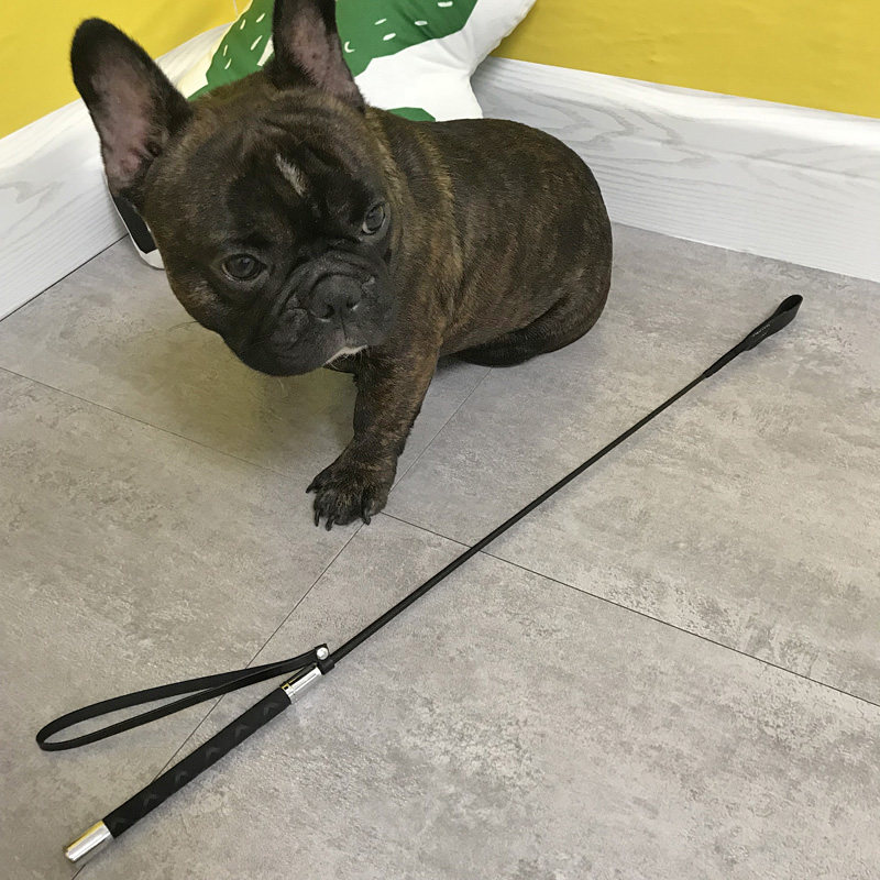 狗狗宠物训狗器装备训犬鞭打狗棍打狗棒神器训犬棒训练拍训狗用品