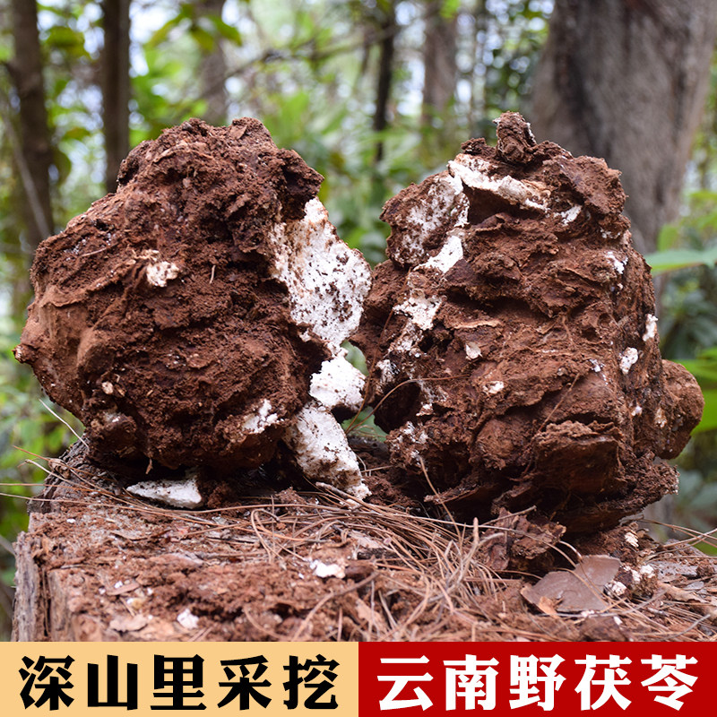 野生白茯苓中药材1000克包邮云南老树云苓晒干无硫去湿食用块粉茶