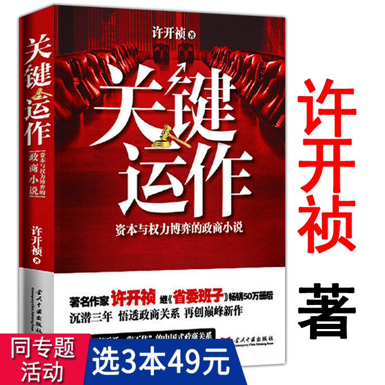 关键运作:资本与权力博弈的政商小说许开祯说透中国企业发展原罪与救赎宦海与商场恩怨纠葛纪委书记政商关系官场小说书籍