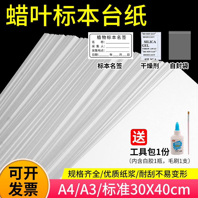 标本台纸腊叶植物标本夹中药普查专用40*30cm国家标准款a4A3卡纸树叶标本制作不干胶标本名标签塑自封袋