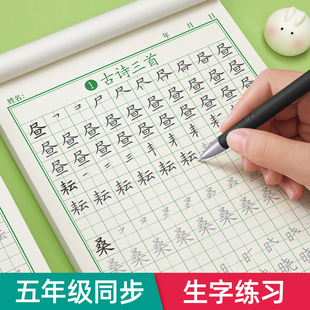 五年级上册下册语文同步字帖人教版小学生笔画笔顺练字帖硬笔书法楷书专用练字本钢笔儿童描红练习写字教材初学者课本生字每日一练