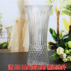 苛特园艺 玻璃花瓶 菠萝图案竖款圆形家庭园艺插花花瓶25CM