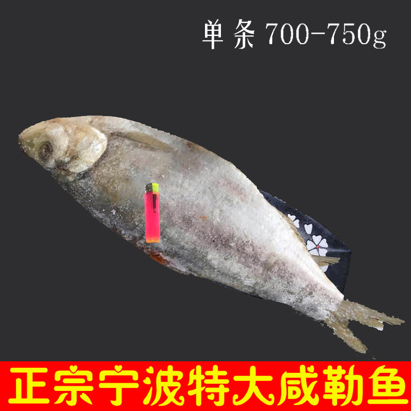 象山特大咸鳓鱼 腌制白鳞鱼力鱼香勒鱼鲞 宁波舟山海鲜石浦特产