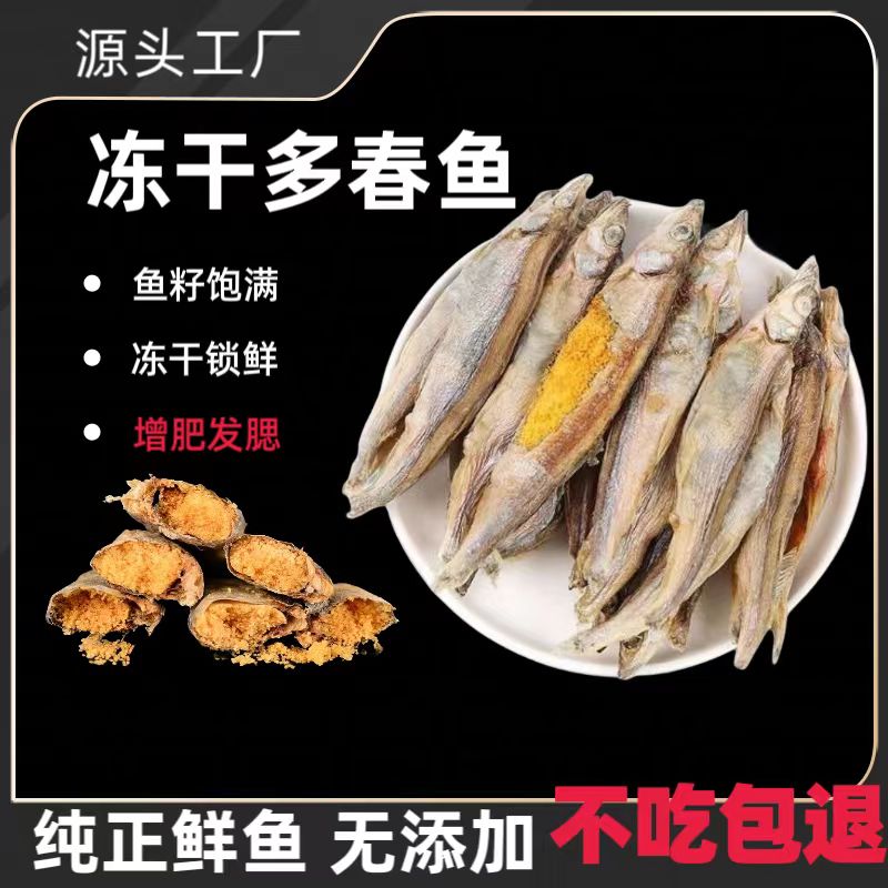 冻干多春鱼满籽猫咪零食增肥发腮补钙成猫幼猫主粮猫咪小鱼干猫粮