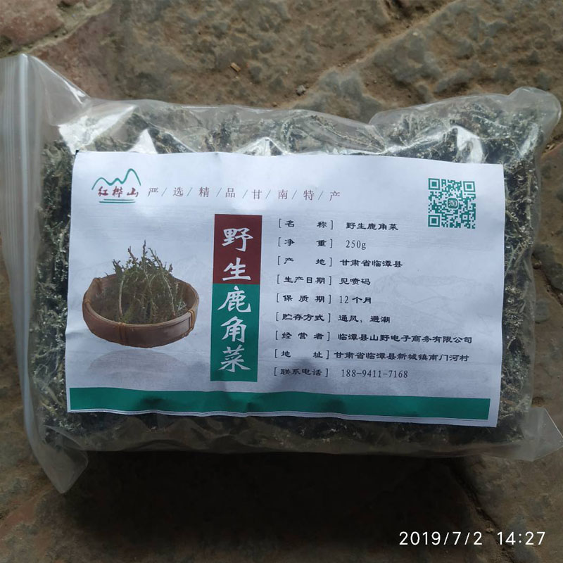 甘南特产野生鹿角菜干货野生菜甘肃山野菜野生凉拌菜