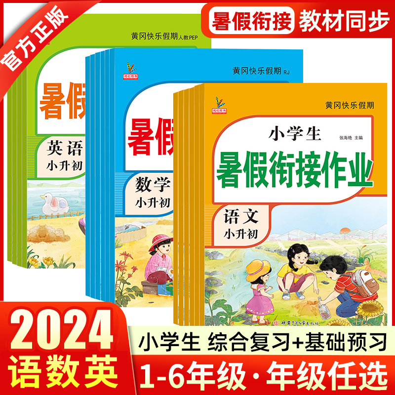 2024新版小学生暑假衔接作业一升