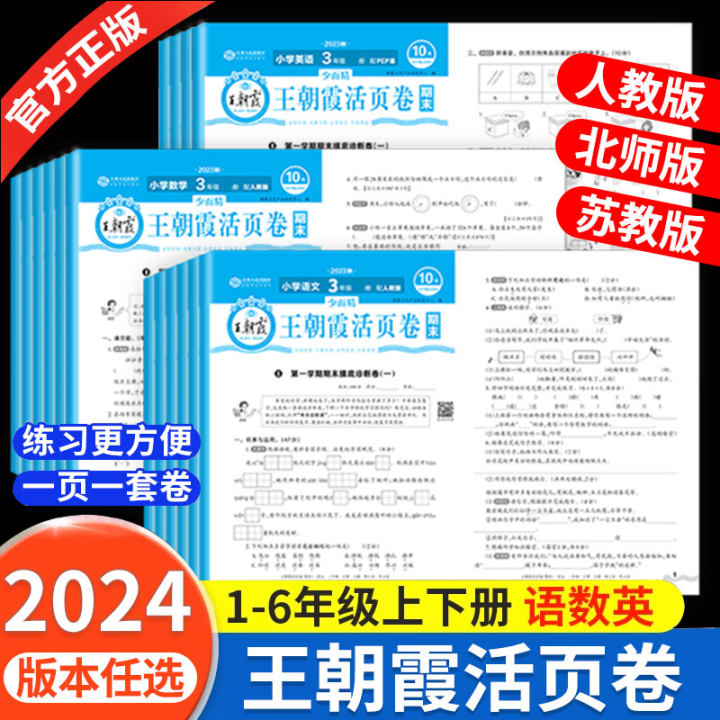 2024新版王朝霞试卷期末活页卷下