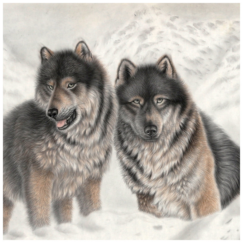 唐坚《雪域狼情》 中国工笔画协会会员 当代著名工笔画家 精品