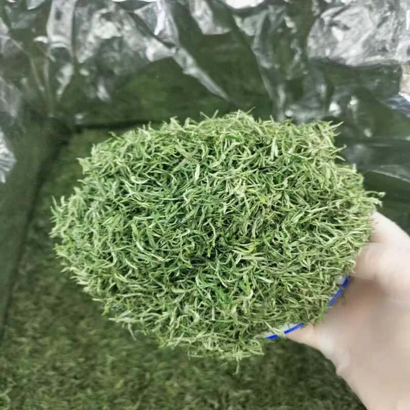 保康绿茶茶叶小芽2024明前嫩芽高山清香炒青手工毛尖芽茶特级龙芽