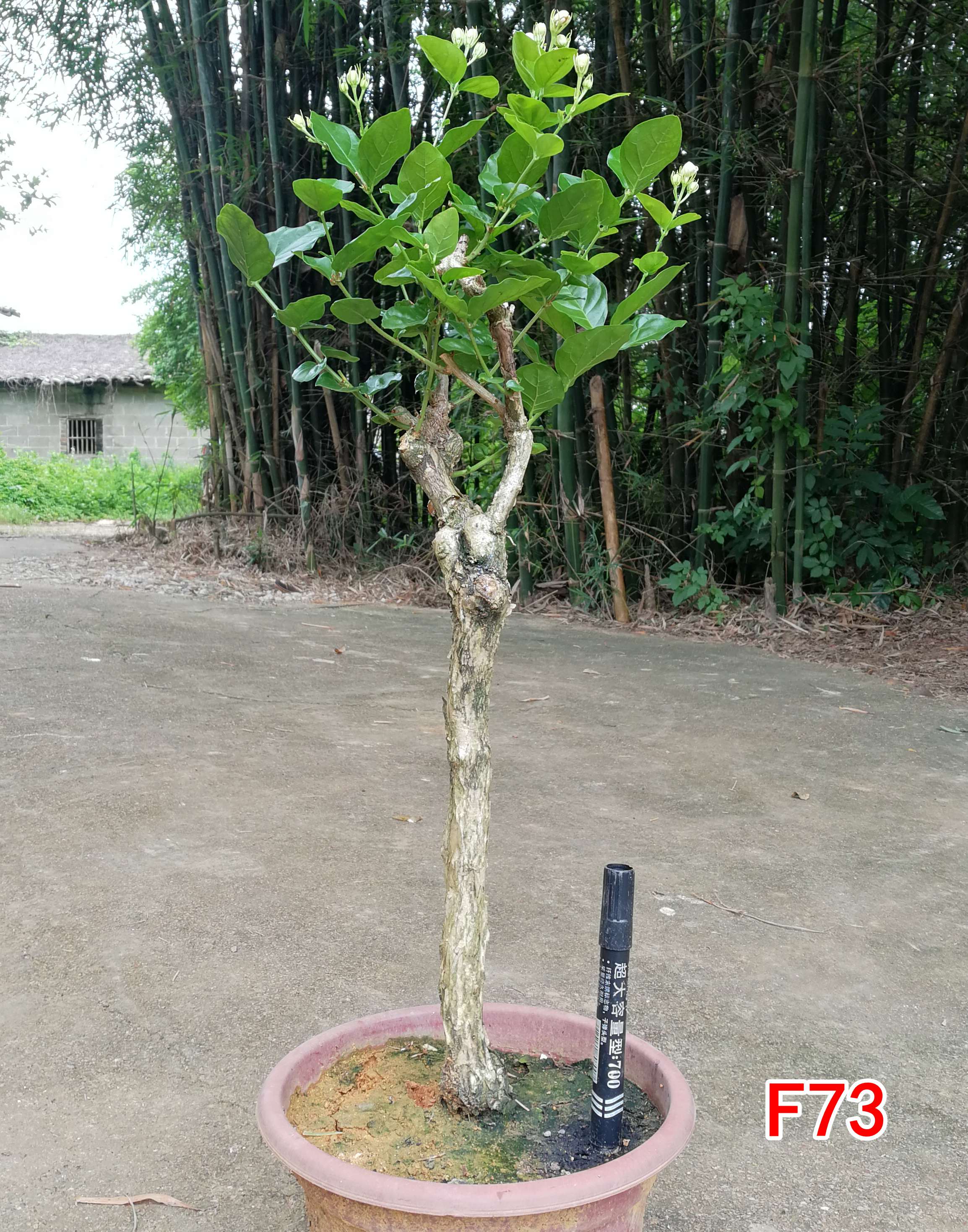 适配09-16丰田新花冠1.