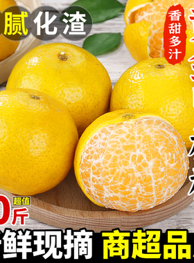 【精品A+级】新鲜黄金甲柑橘！