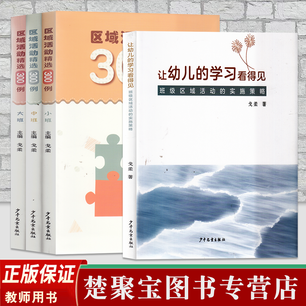 全4册 让幼儿的学习看得见 班级区域活动的实施策略  区域活动精选300例 小中大班 全4册 戈柔 少年儿童出版社幼儿园区域活动案例