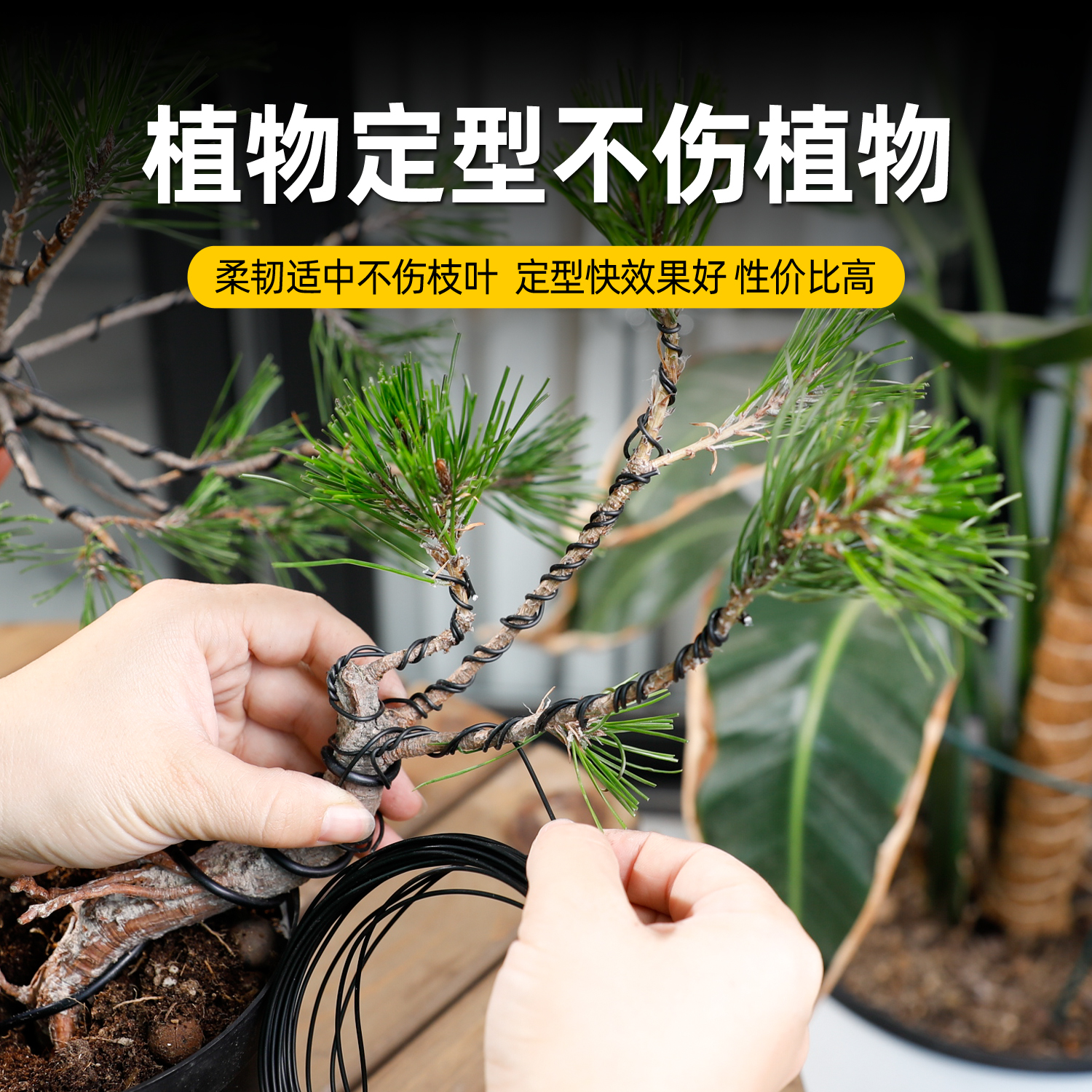 盆景造型专用铝线黑色软铝条整形蟠扎园艺庭院植物盆栽定型铝丝线